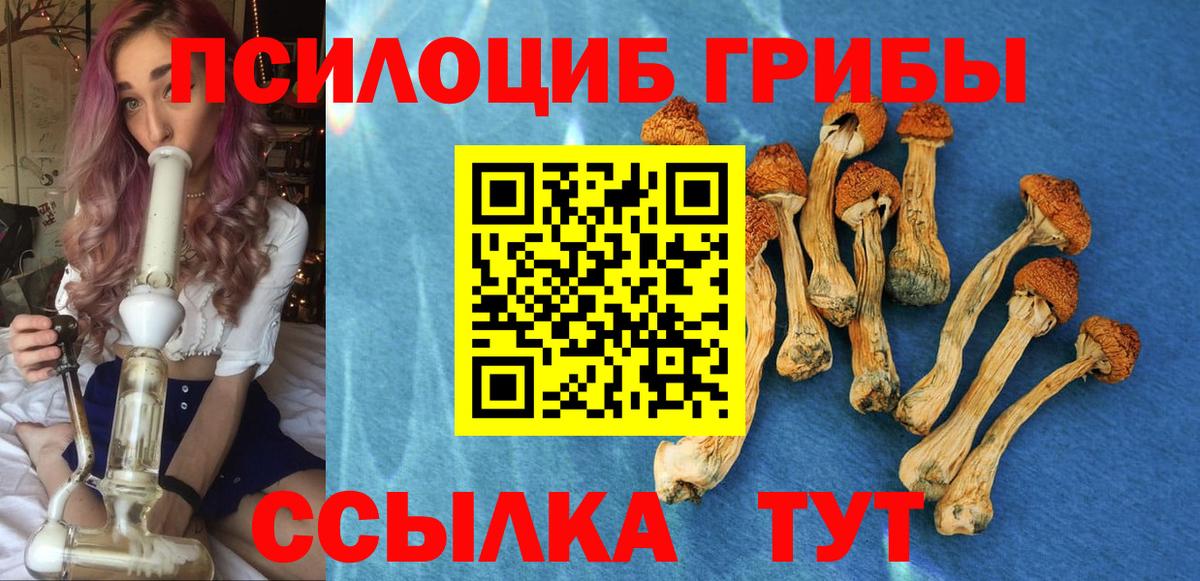 Галлюциногенные грибы прущие грибы Ставрополь