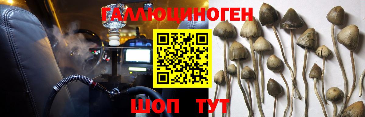 Псилоцибиновые грибы Magic Shrooms  Вход с VPN  Галлюциногенные грибы Psilocybine cubensis  Ставрополь 